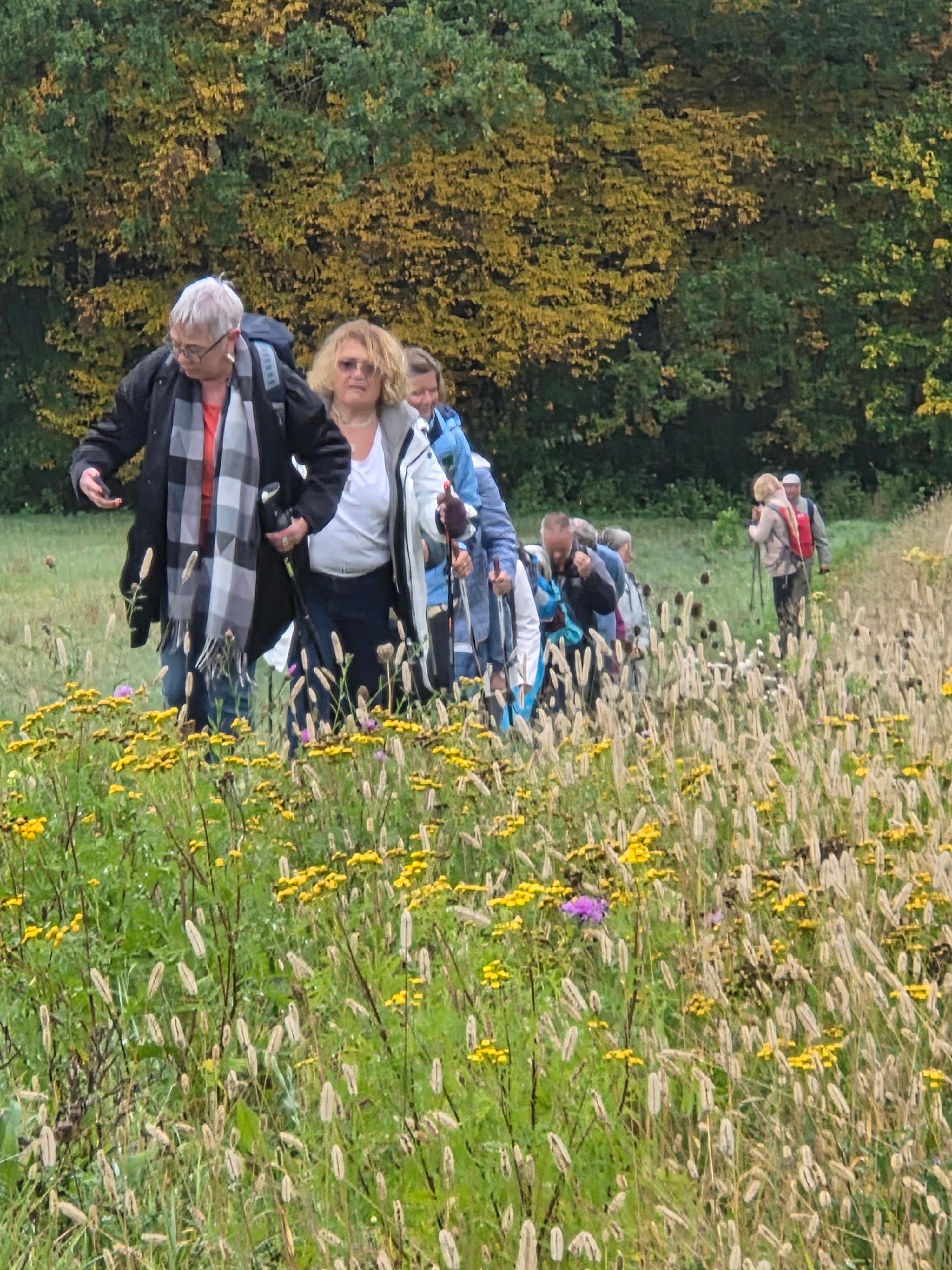 Vereine Kategorie Bild